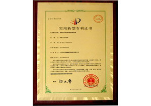 Patent